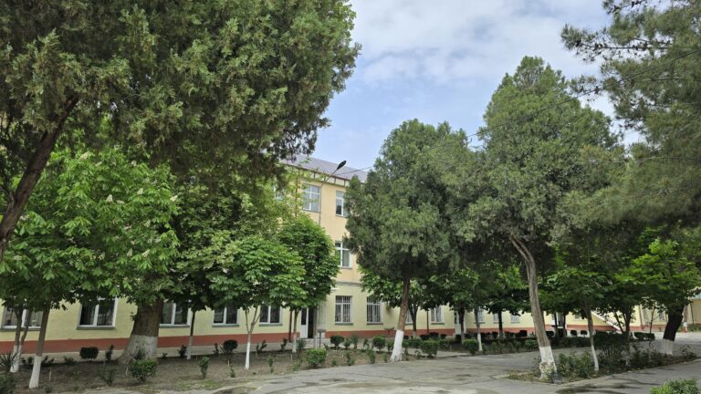 photo_2025-04-19_16-06-00